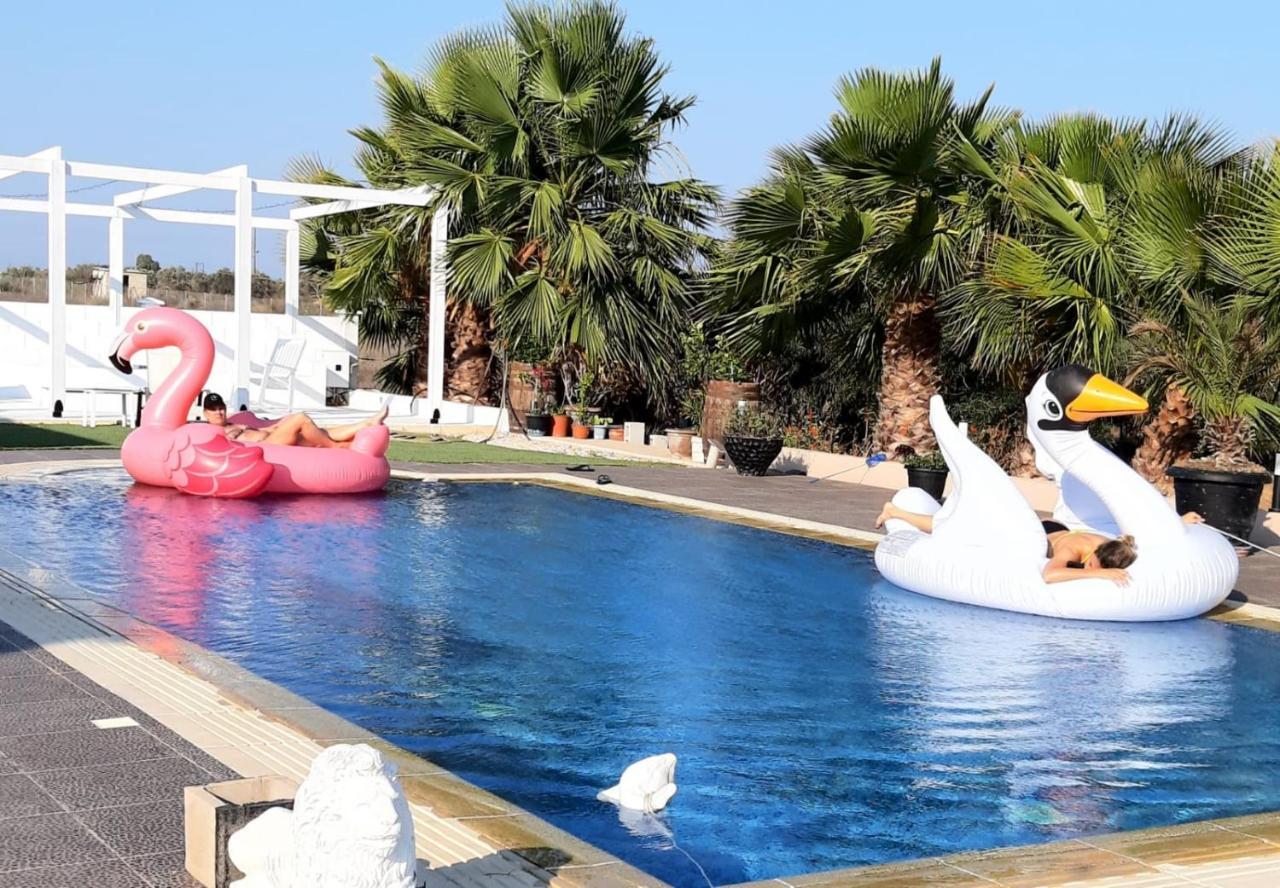The Pervoli Studio - Pool - Close To Beach Lárnaka Kültér fotó